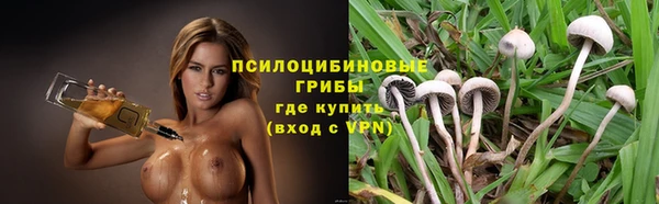 спайс Михайлов