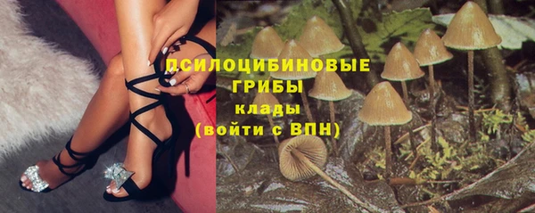 спайс Михайлов