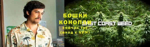 спайс Михайлов